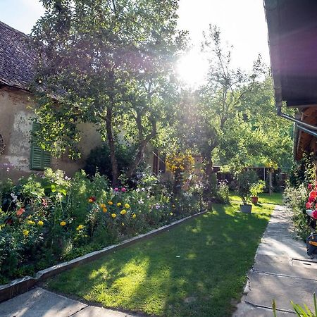 Villa Rihuini Eco Wine House Transylvania Richisu Exteriér fotografie
