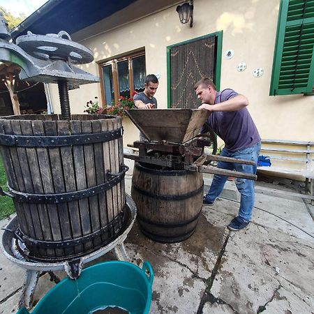 Villa Rihuini Eco Wine House Transylvania Richisu Exteriér fotografie