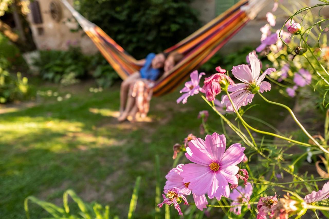 Villa Rihuini Eco Wine House Transylvania Richisu Exteriér fotografie