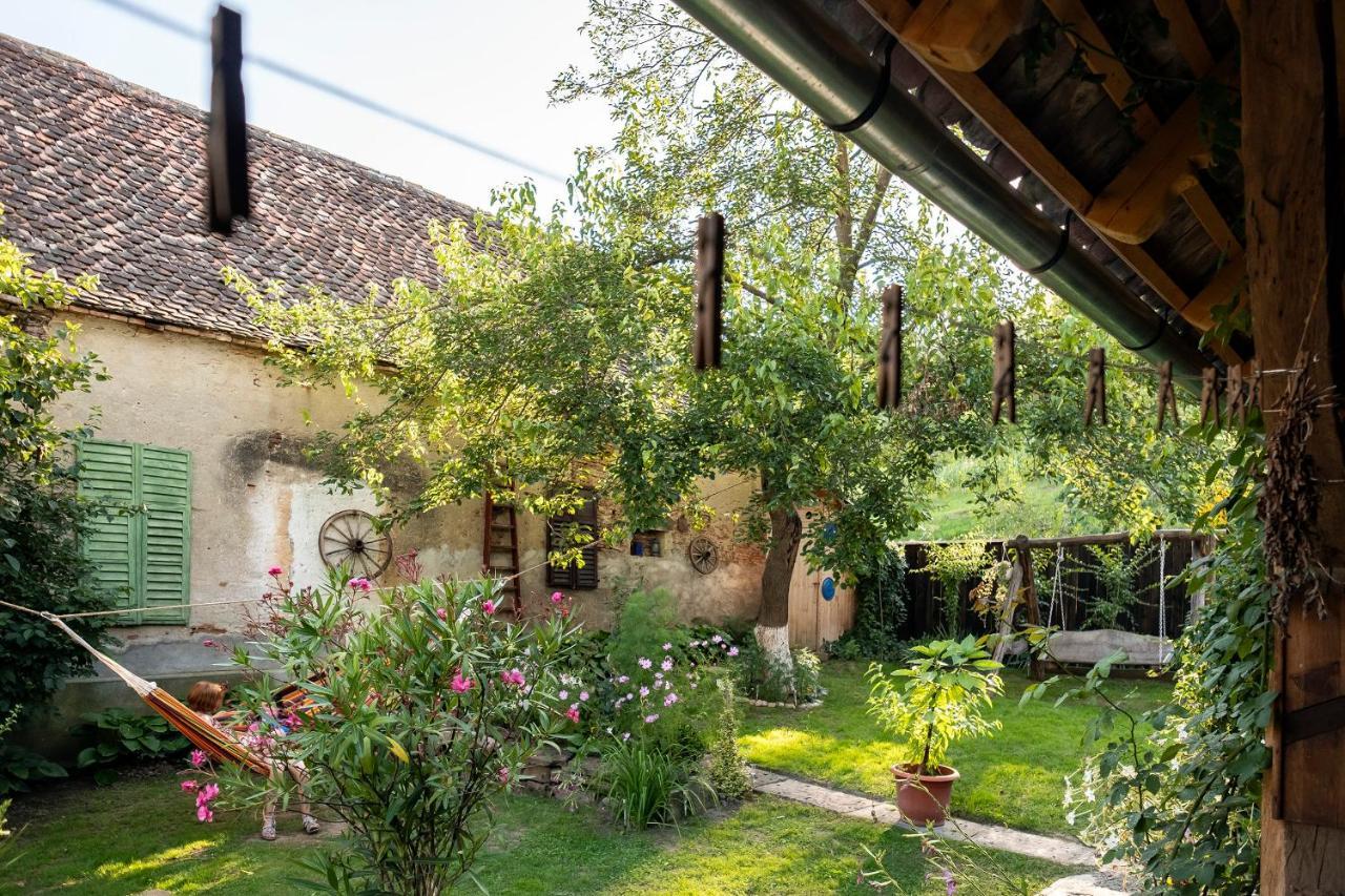 Villa Rihuini Eco Wine House Transylvania Richisu Exteriér fotografie