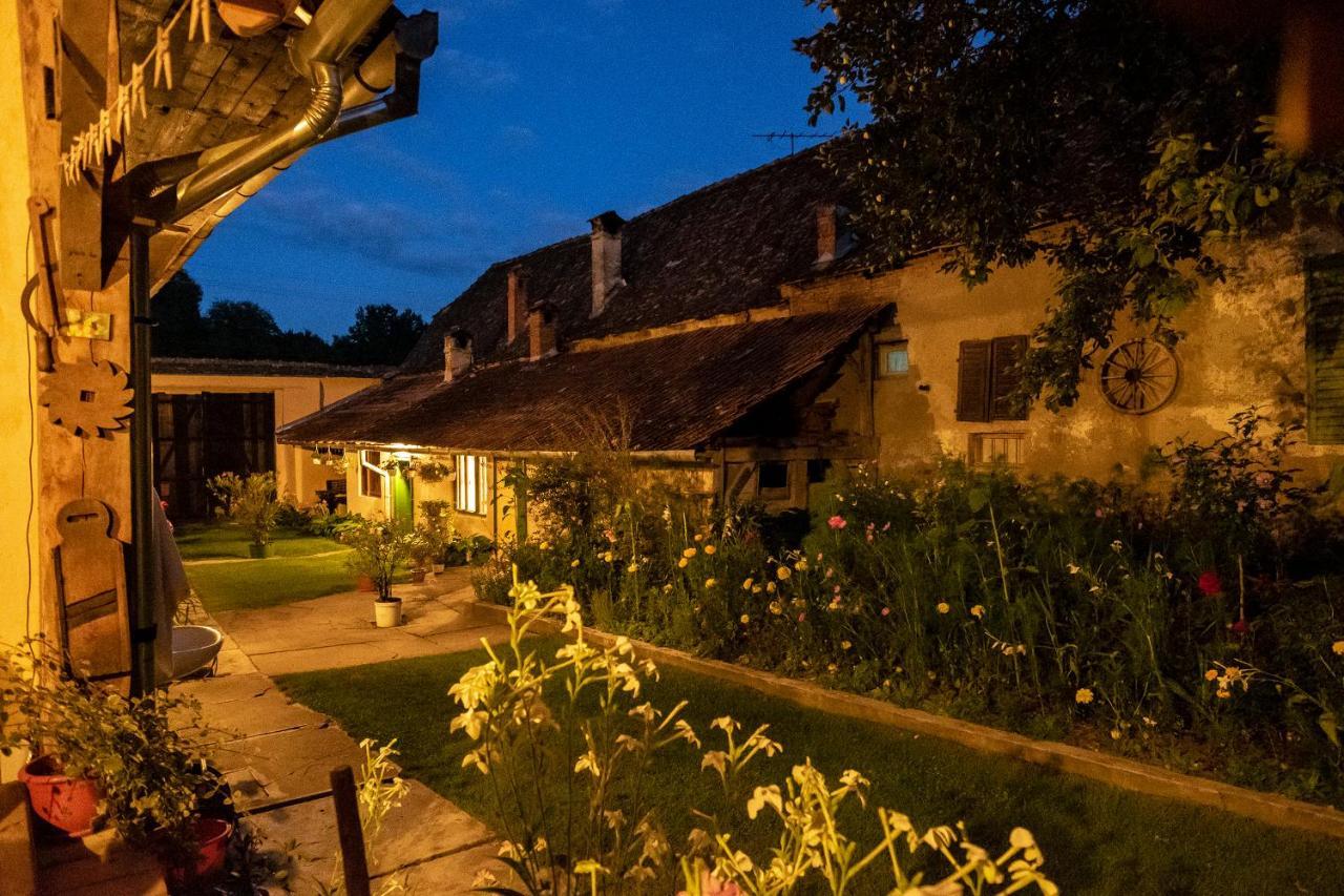 Villa Rihuini Eco Wine House Transylvania Richisu Exteriér fotografie