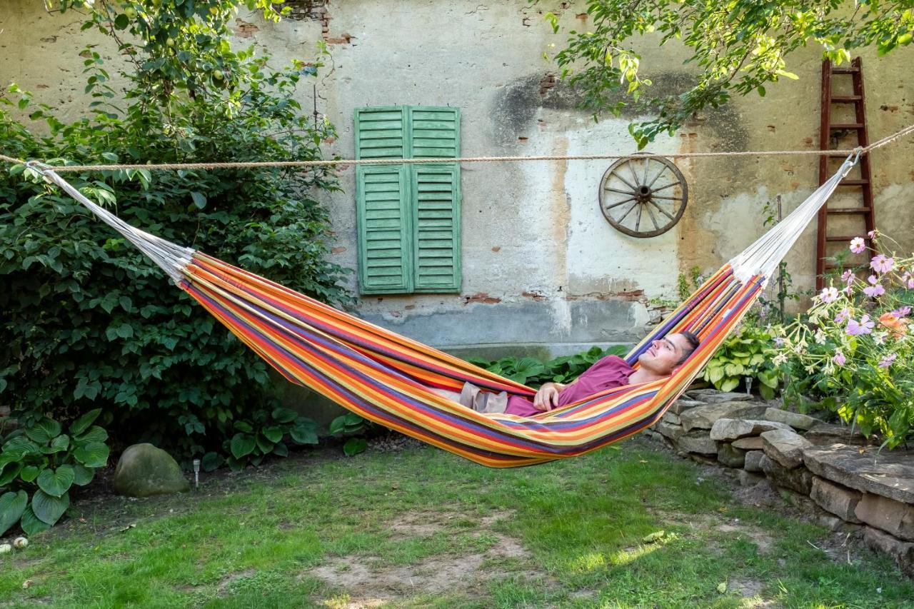 Villa Rihuini Eco Wine House Transylvania Richisu Exteriér fotografie