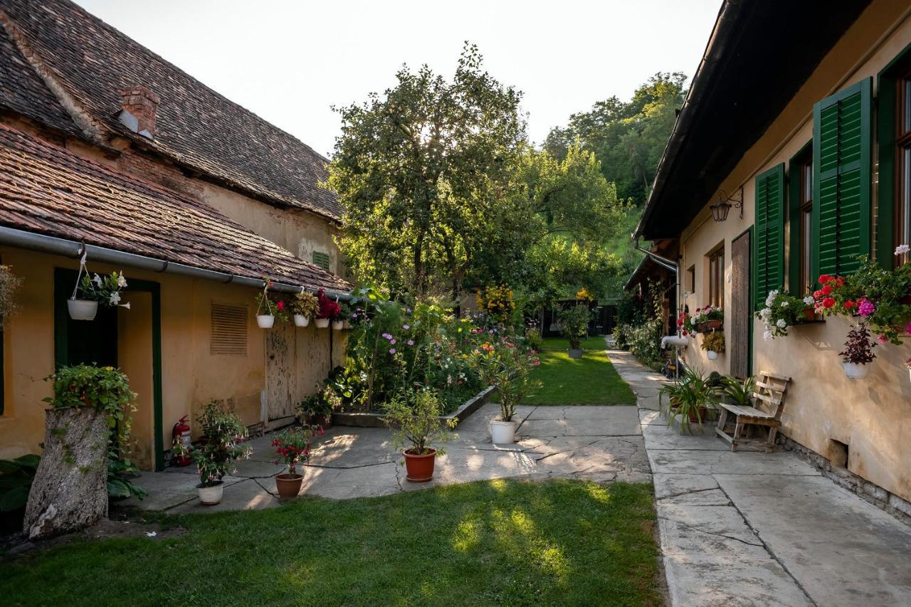 Villa Rihuini Eco Wine House Transylvania Richisu Exteriér fotografie