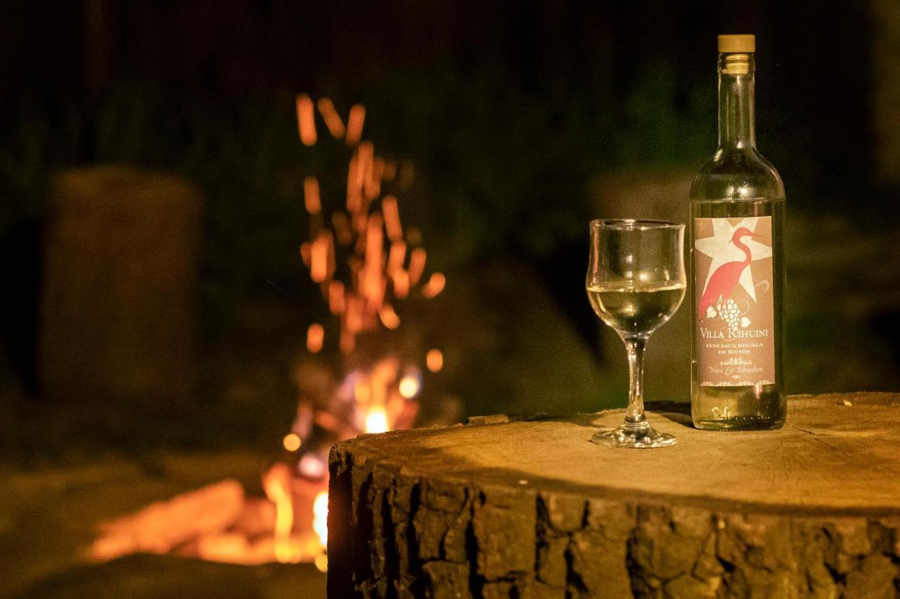 Villa Rihuini Eco Wine House Transylvania Richisu Exteriér fotografie