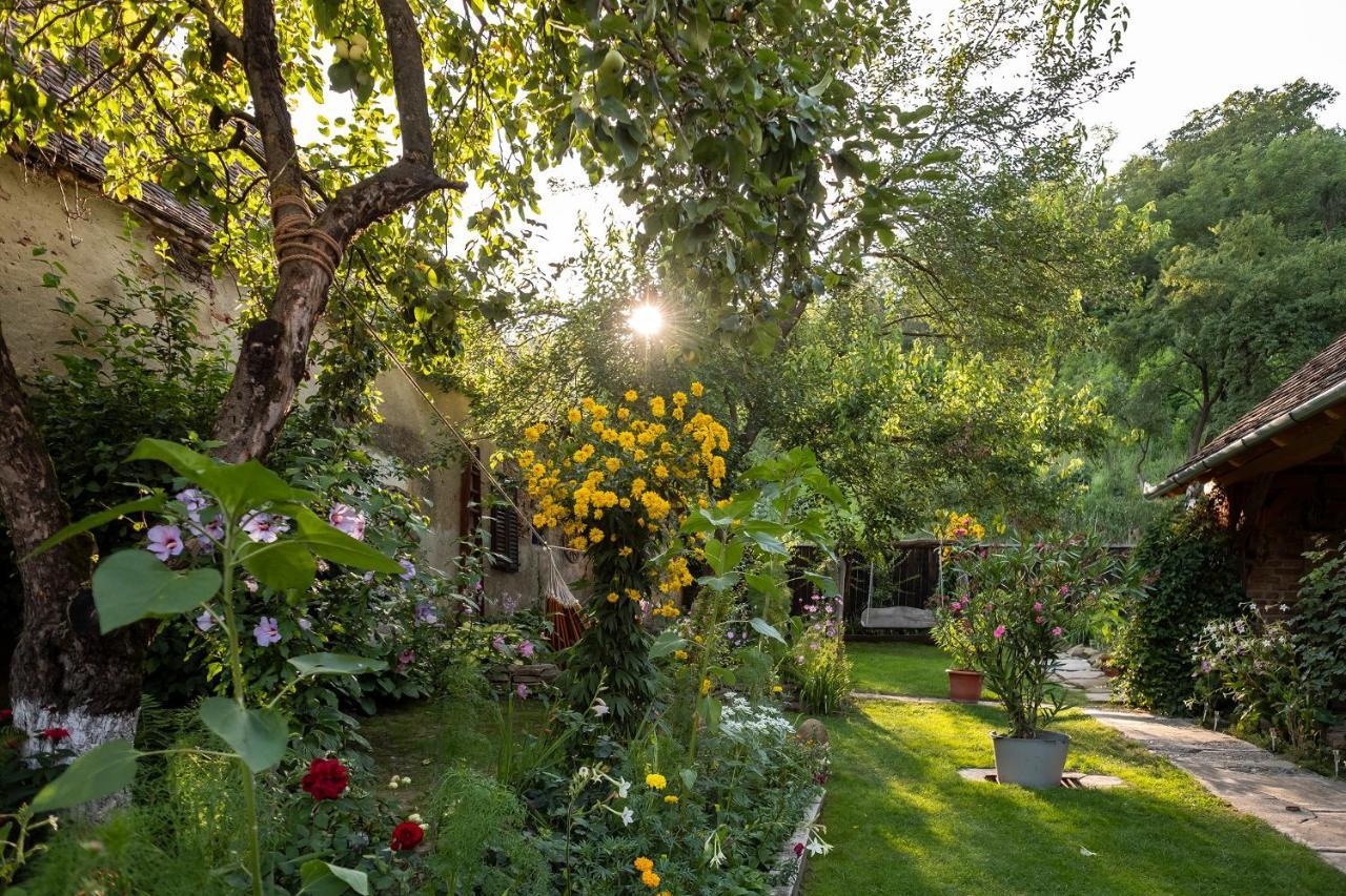 Villa Rihuini Eco Wine House Transylvania Richisu Exteriér fotografie