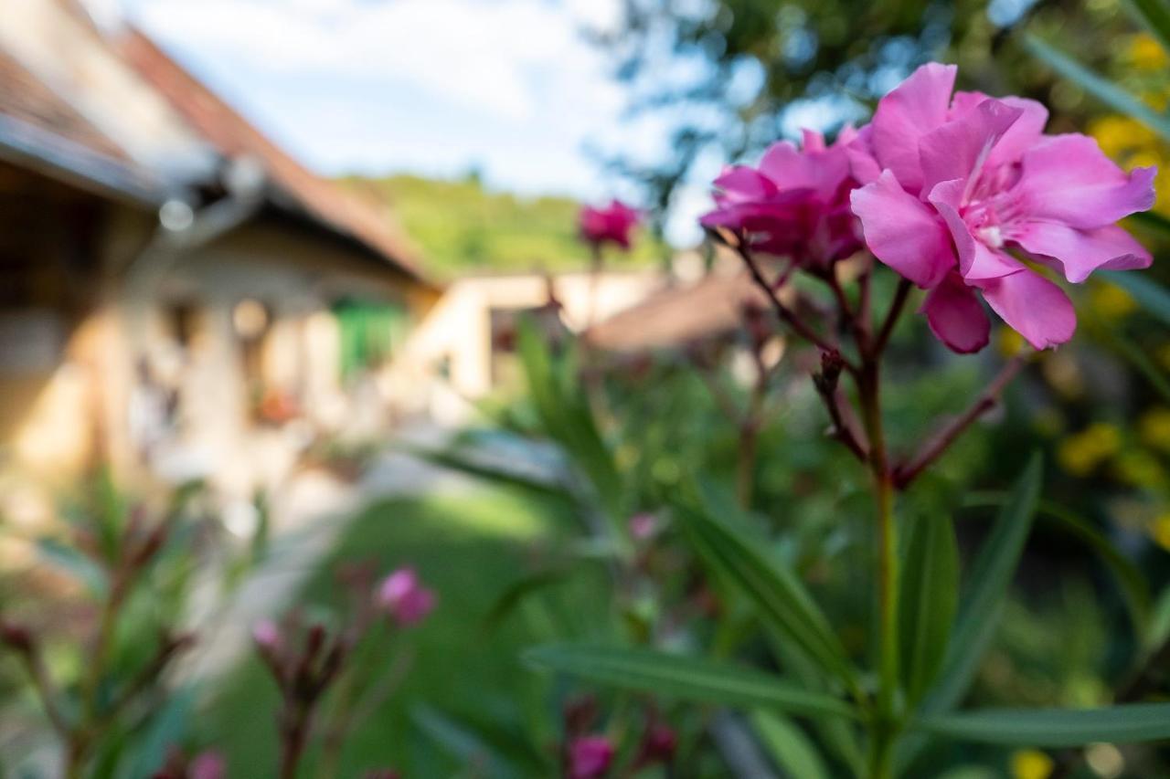 Villa Rihuini Eco Wine House Transylvania Richisu Exteriér fotografie