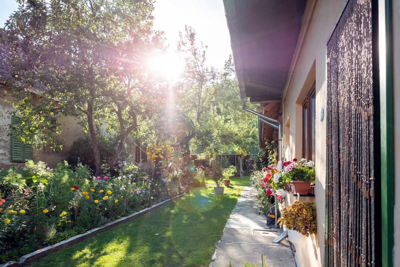 Villa Rihuini Eco Wine House Transylvania Richisu Exteriér fotografie
