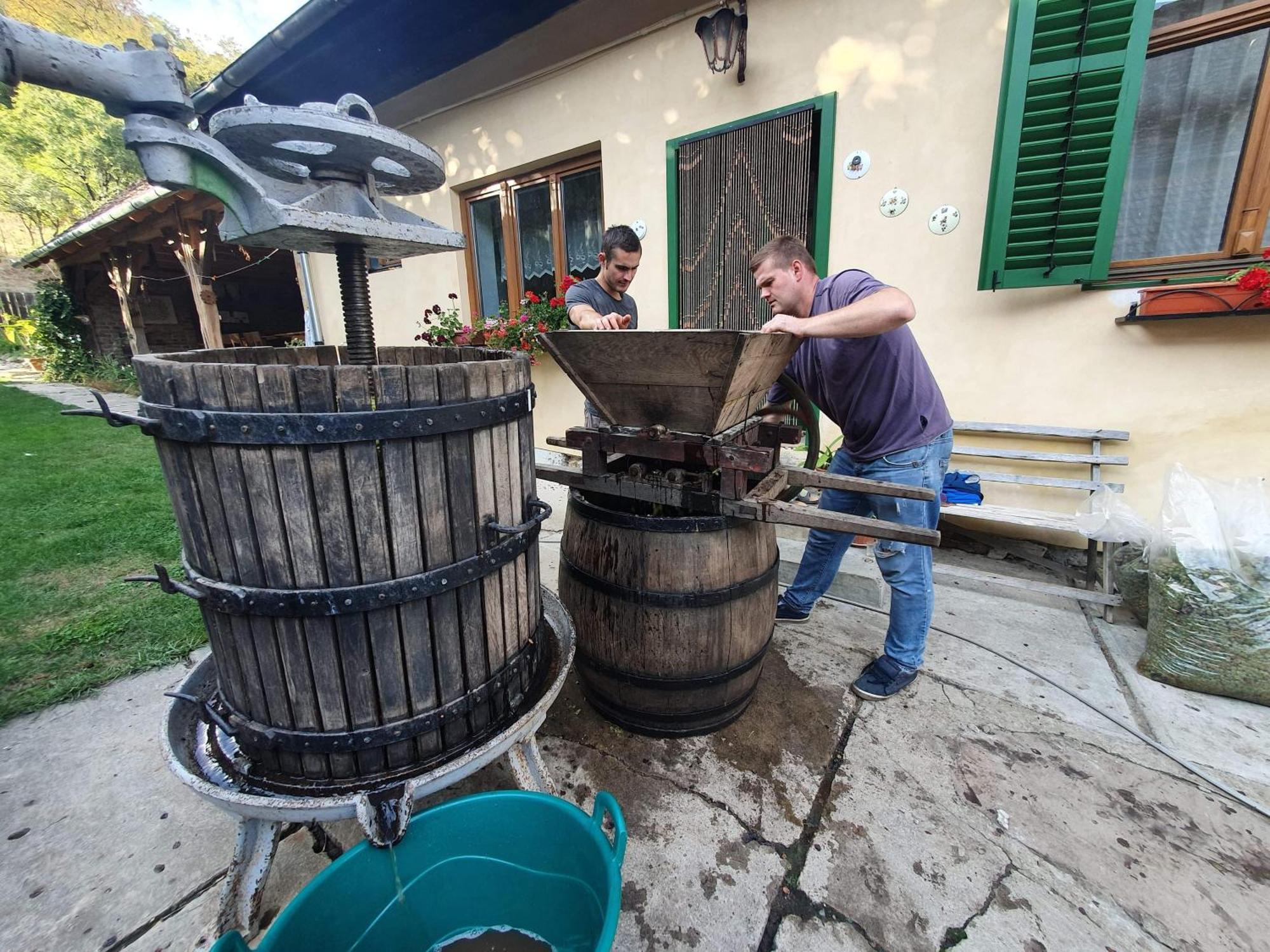 Villa Rihuini Eco Wine House Transylvania Richisu Exteriér fotografie