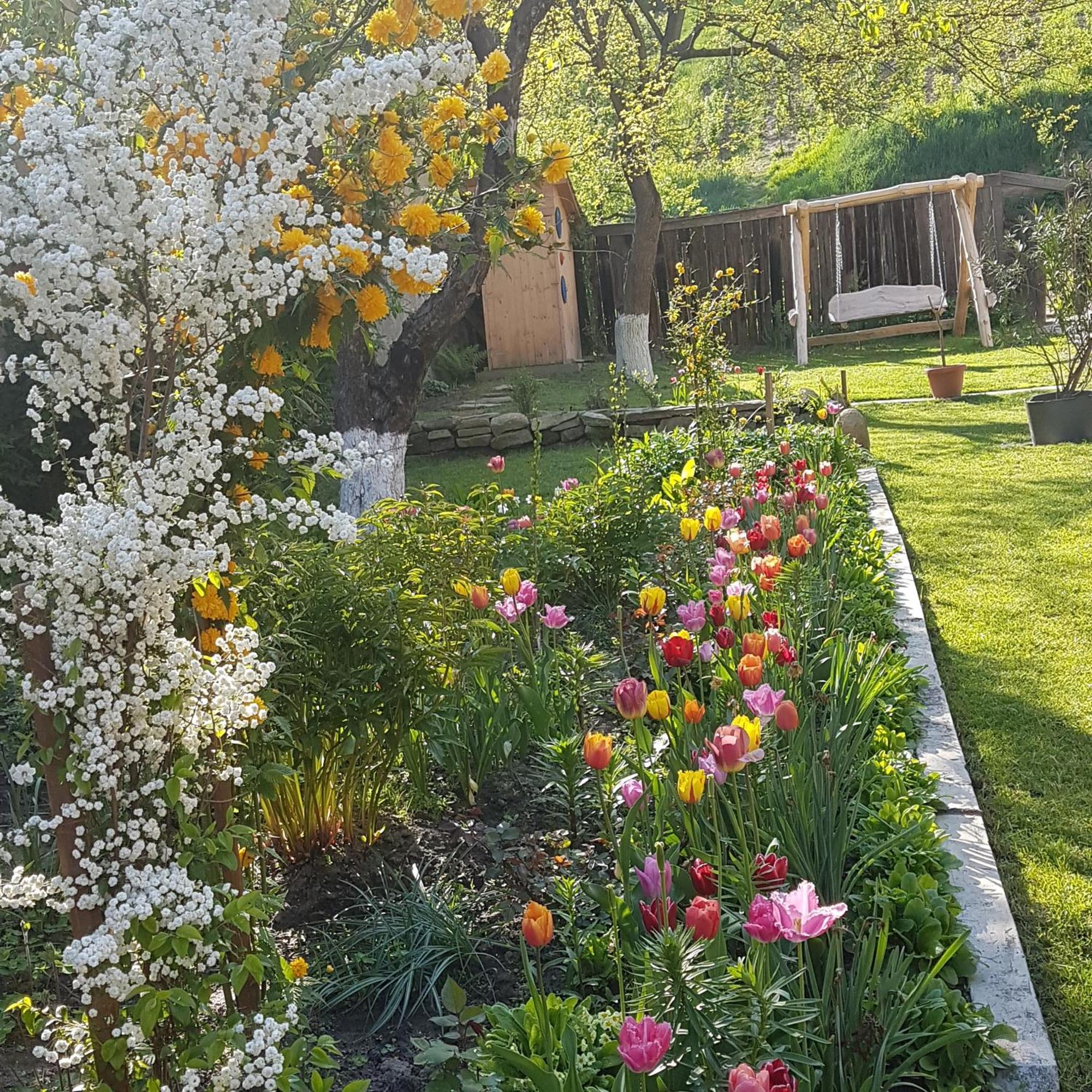 Villa Rihuini Eco Wine House Transylvania Richisu Exteriér fotografie